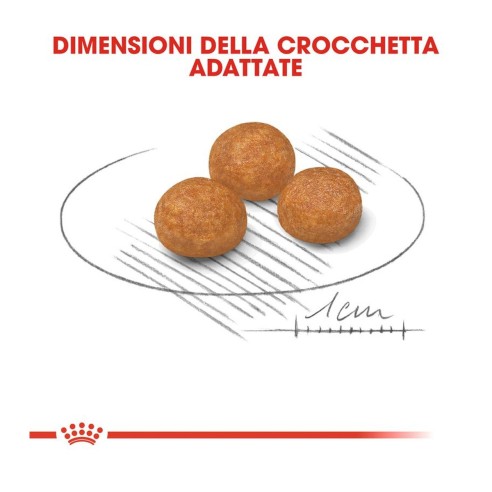 Royal Canin X-Small Adult alimento secco cane crocchette