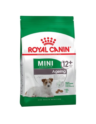 Royal Canin Mini Ageing 12+ alimento secco cane