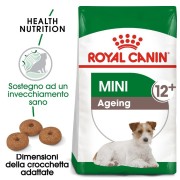 Royal Canin Mini Ageing 12+ alimento secco cane