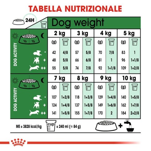 Royal Canin Mini Ageing 12+ alimento secco cane