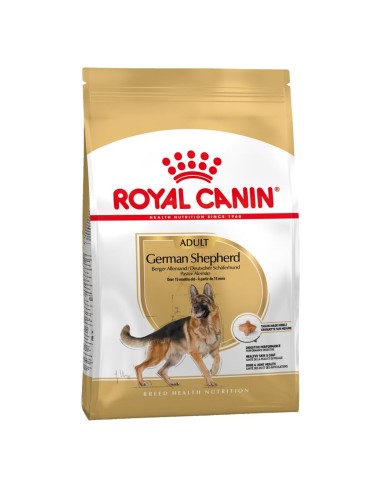 Royal Canin German Sherphard Adult alimento secco cane