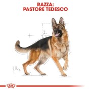 Royal Canin German Sherphard Adult alimento secco cane 11 kg