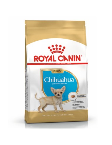 Royal Canin Chihuahua Puppy alimento secco cane 500g