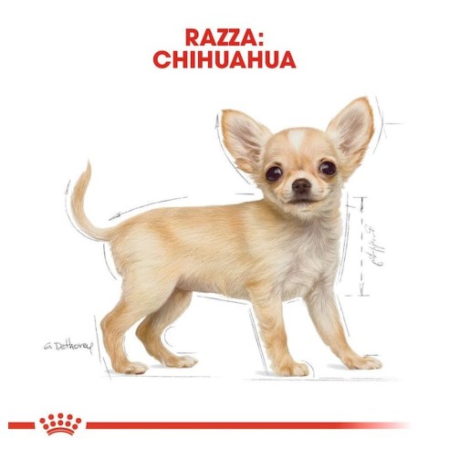 Royal Canin Chihuahua Puppy alimento...