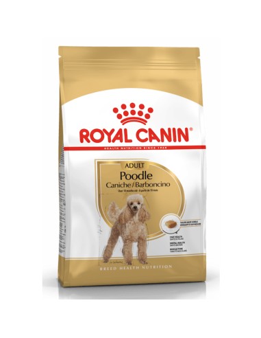 Royal Canin Barboncino Adult alimento secco cane 1,5kg