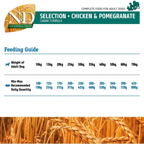 N&D Ancestral Grain Selection adult medium maxi pollo e melograno