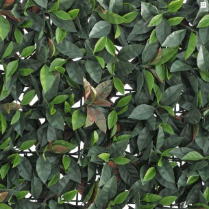 Pannello siepe artificiale Photinia Verdemax 0,5 x 0,5 m
