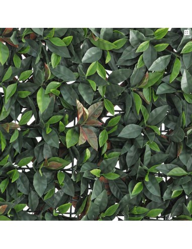 Siepe verdecor a pannello foglie tipo Photinia 0,5x1 m Verdemax