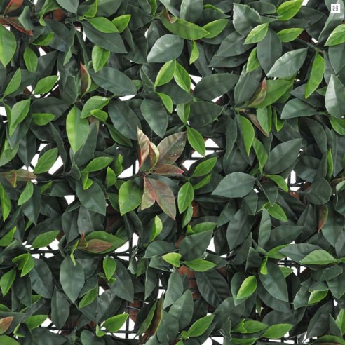 Pannello siepe artificiale Photinia Verdemax 0,5 x 0,5 m