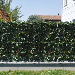 Pannello siepe artificiale Photinia Verdemax 0,5 x 0,5 m 2