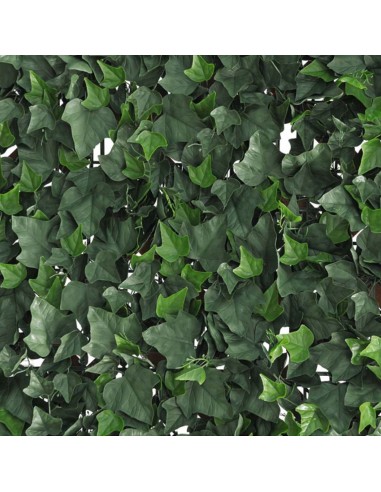 Siepe Verdecor a pannello foglie tipo Edera 0,5x1 m Verdemax