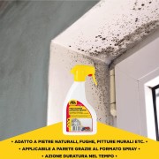 Protettivo antimuffa FILA ACTIVE2 500ml