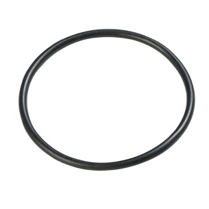 Guarnizione per valvola plunger 10262 ricambio Intex