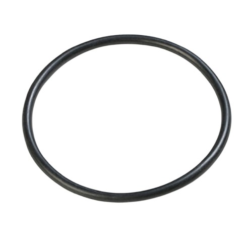 Guarnizione per valvola plunger 10262 ricambio Intex