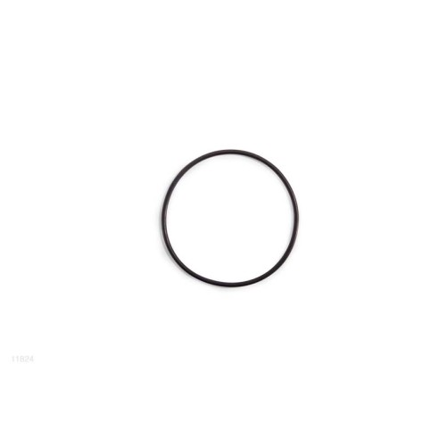Guarnizione o-ring prefiltro pompa 11824 ricambio Intex