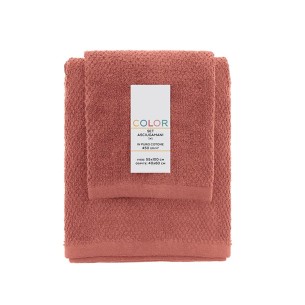 Set 2 asciugamani viso e ospite cotone rosso mattone Feridras