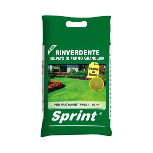 Rinverdente Sprint 4kg solfato di ferro granulare