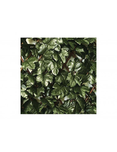 Traliccio-estensibile-salice-con-edera-Verdemax-5585