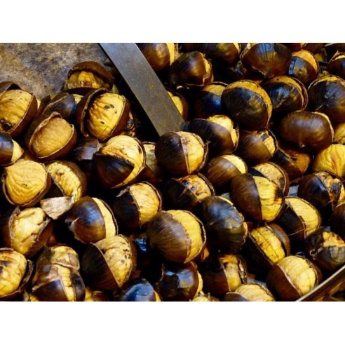 Cuoci-castagne-da-camino-diam-27cm-812