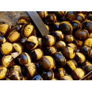 Cuoci-castagne-da-camino-diam-27cm-812