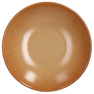 Piatto fondo 22 cm gres porcellanato Tierra arancione