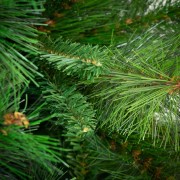 Albero di Natale realistico Amazzonia New con pigne 270 cm Flora AMAZNEW270 rami