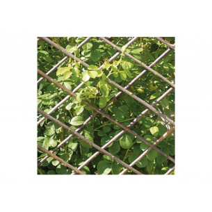 Traliccio-estensibile-Verdemax-in-salice-naturale 2