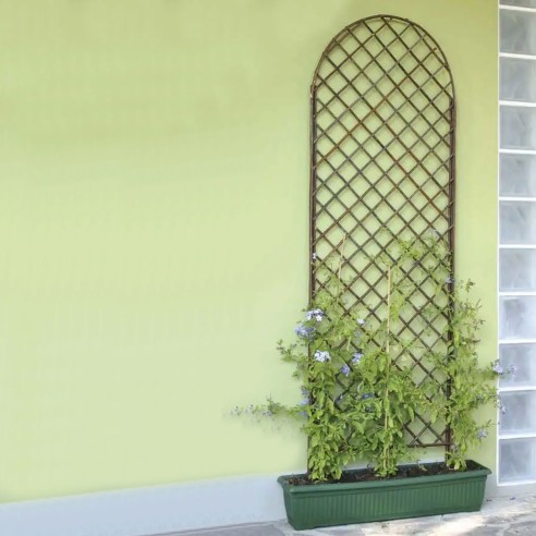 Traliccio fisso ad arco in salice naturale 120 x 60cm Verdemax 5796