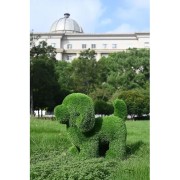 Decorazione erba sintetica cane