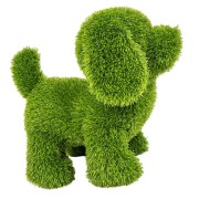 Decorazione erba sintetica cane