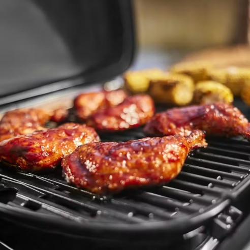 Weber Traveler Compact: Barbecue a Gas Portatile 1501750 -5