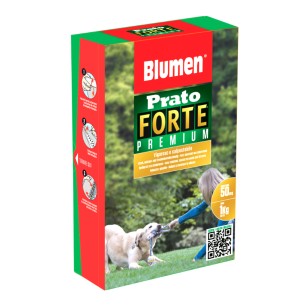 Semi per Prato Forte Premium Blumen
