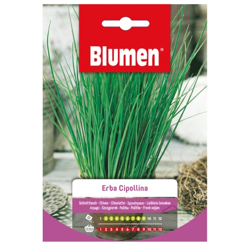 Semi di Erba Cipollina Blumen per orto e vaso