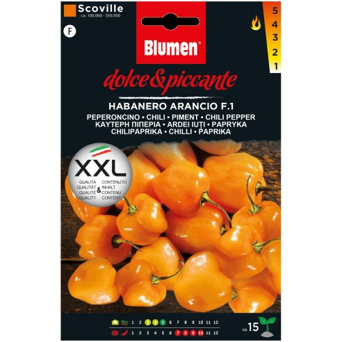 Semi di peperoncino Habanero arancio Blumen
