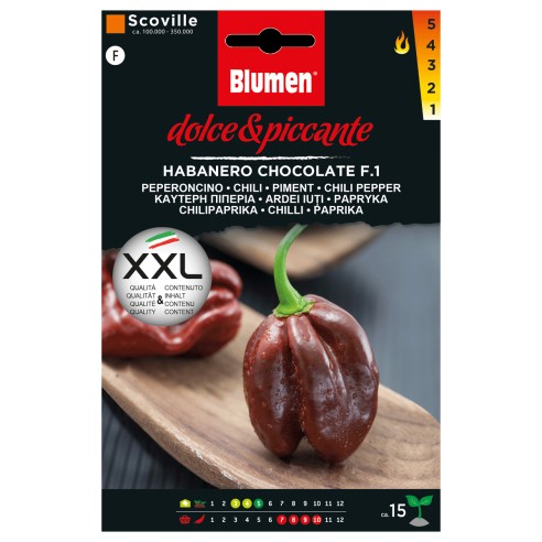 Semi di peperoncino Habanero Chocolate Blumen