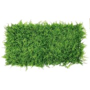 Pannello-siepe-artificiale-Amazzonia-Verdemax