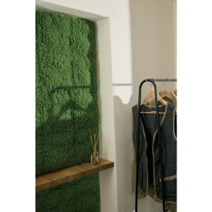 Pannello siepe artificiale Muschio Verdemax 0,5 x 1 m 2