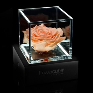 Rosa stabilizzata FlowerCube 6x6 in cubo trasparente rosso 2