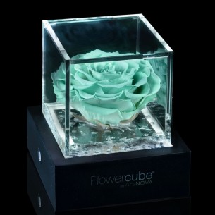 Rosa stabilizzata FlowerCube 6x6 in cubo trasparente rosso 2