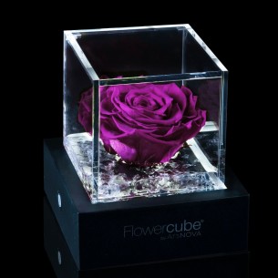 Rosa stabilizzata FlowerCube 6x6 in cubo trasparente rosso 2