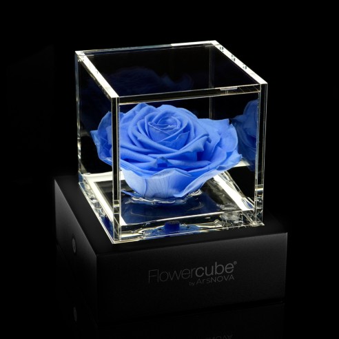 Rosa stabilizzata FlowerCube 6x6 in cubo trasparente azzurro