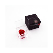 Rosa stabilizzata FlowerCube in cubo trasparente