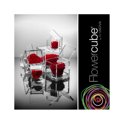 Rosa stabilizzata FlowerCube in cubo...