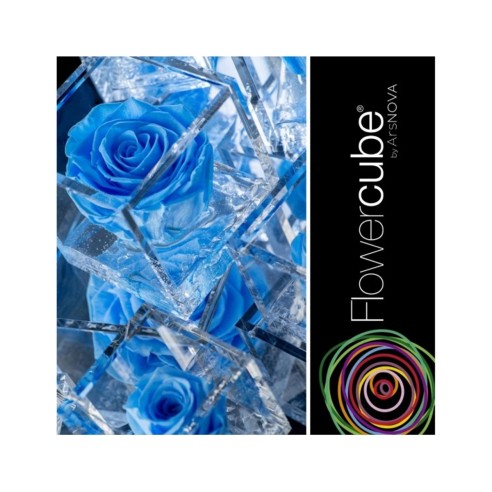 Rosa stabilizzata FlowerCube in cubo...