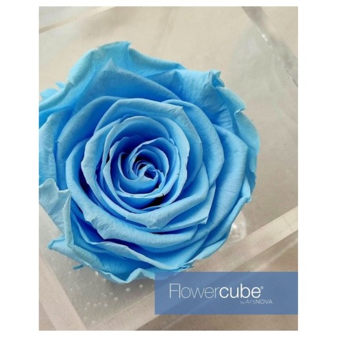 Rosa stabilizzata FlowerCube in cubo...