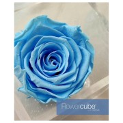 Rosa stabilizzata FlowerCube in cubo trasparente