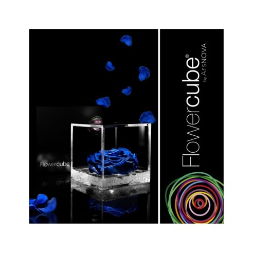 Rosa stabilizzata FlowerCube in cubo...