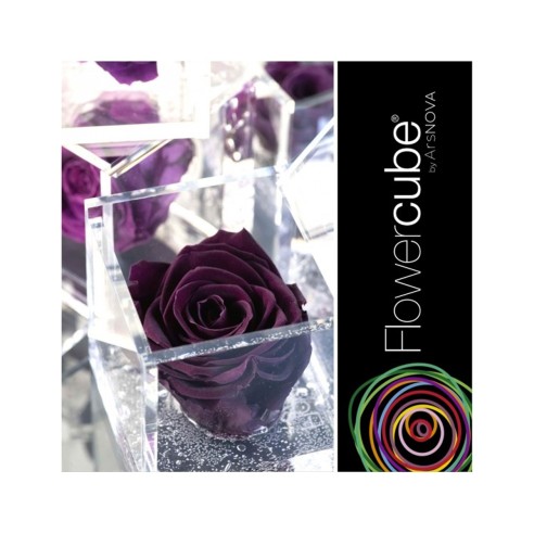 Rosa stabilizzata FlowerCube in cubo...