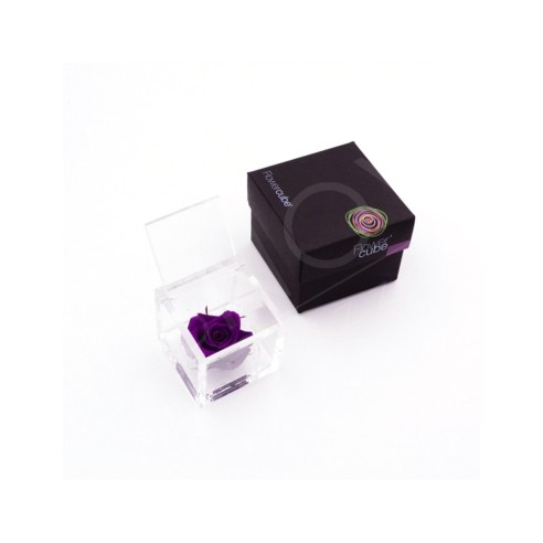 Rosa stabilizzata FlowerCube in cubo...