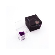 Rosa stabilizzata FlowerCube in cubo trasparente